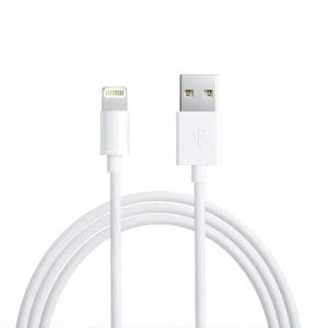 Cablu date Lightning Fast Charging 5A 1m Alb